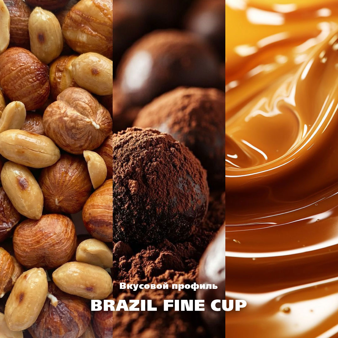 3-Brazil_vkus