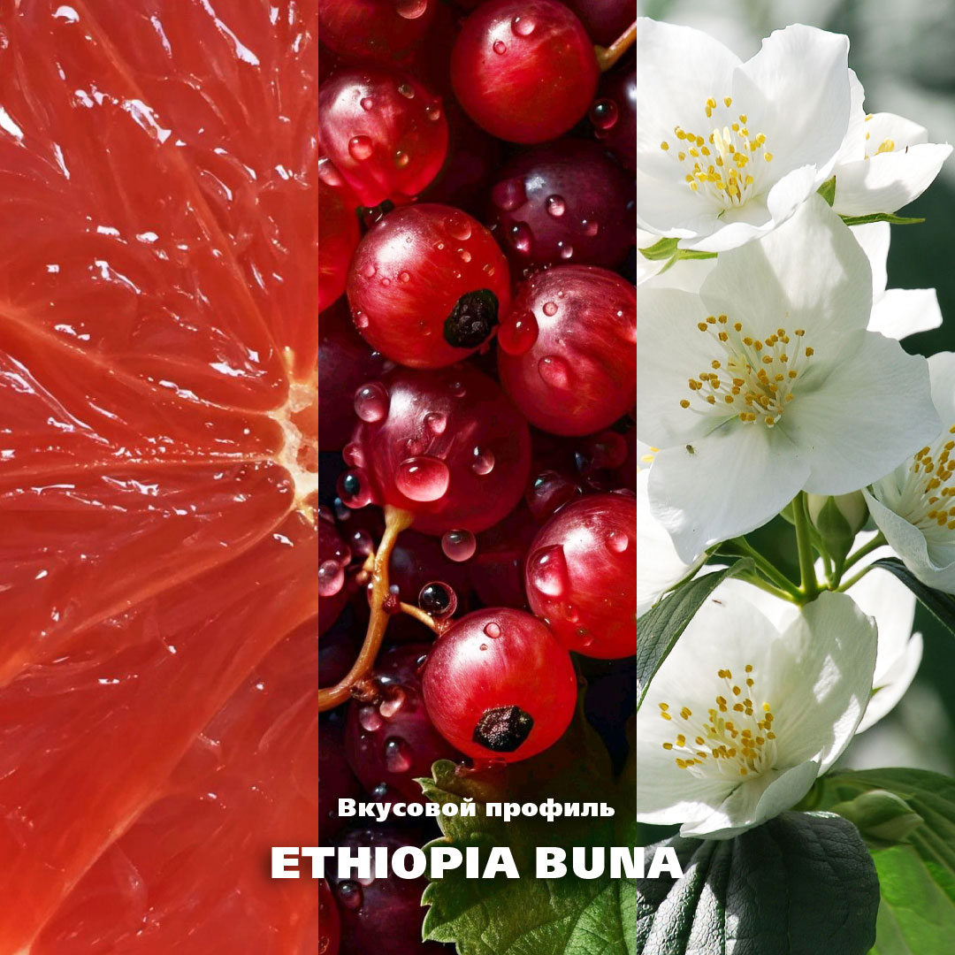 3-Ethiopia_vkus